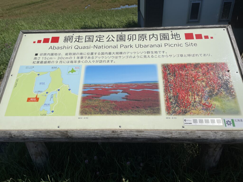 卯原内園地